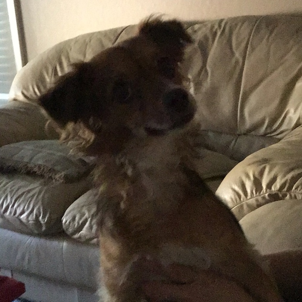 Meet your Posher, Elaine